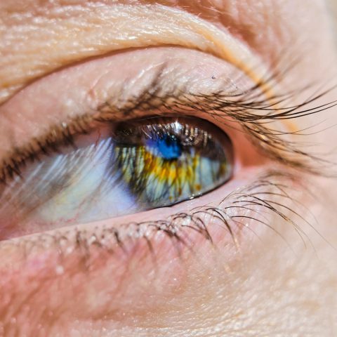 theme-2-split-content-1